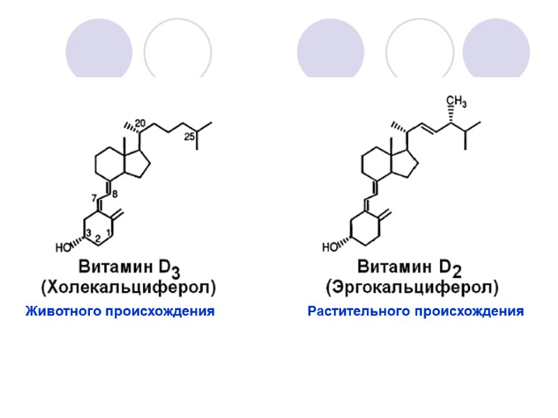 Животного происхождения            
